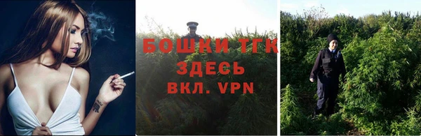 сатива Армянск