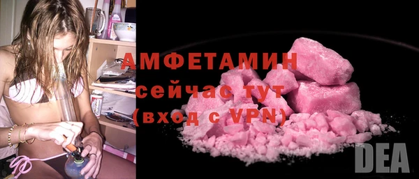 сатива Армянск