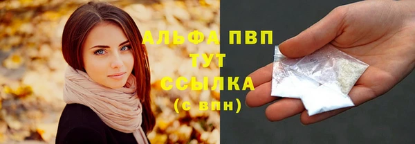 сатива Армянск