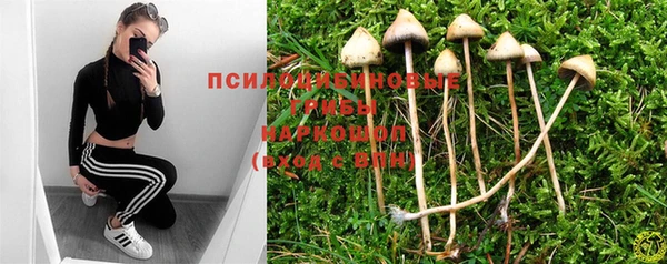 гидропоника Алексин
