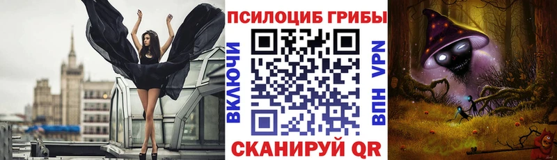 продажа наркотиков  даркнет телеграм  Псилоцибиновые грибы Psilocybine cubensis  Лукоянов  kraken онион 